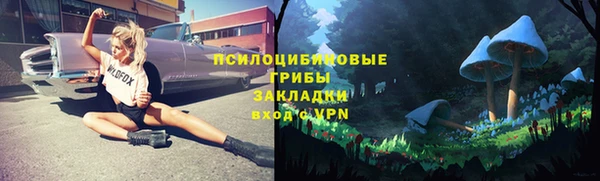 СК Аркадак