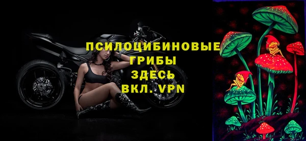 дмт Алексеевка