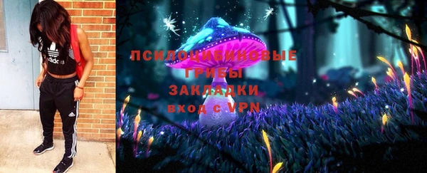 СК Аркадак