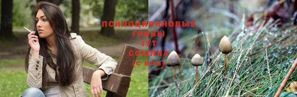 гашик Алзамай